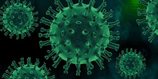 QLD Health COVID-19 Geographic Case Data Dataset on Opendatabay data marketplace