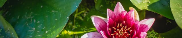 Global Life Experiences Survey Data Dataset on Opendatabay data marketplace