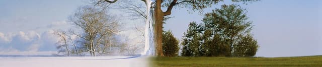 Warmed Detroit Temperature Forecasting Set Dataset on Opendatabay data marketplace