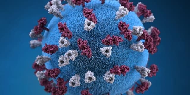 COVID-19 Public Health Intelligence Dataset on Opendatabay data marketplace