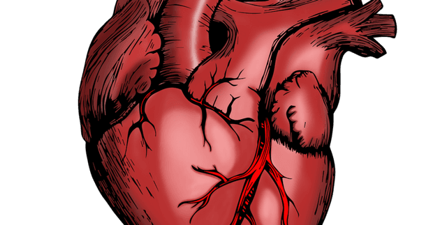 Heart Disease Risk Factors Dataset Dataset on Opendatabay data marketplace