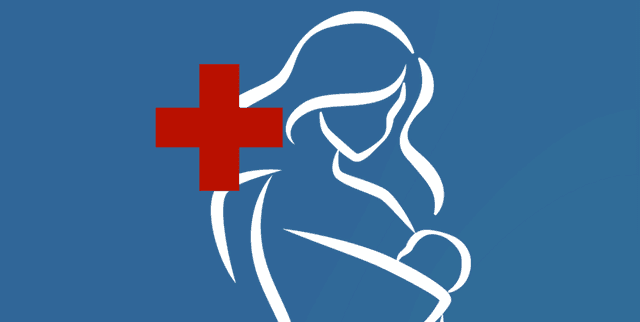 World Maternal Mortality Performance Index Dataset on Opendatabay data marketplace