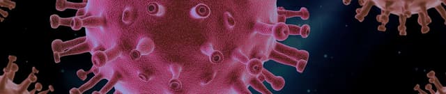 International Coronavirus Case Log Dataset on Opendatabay data marketplace