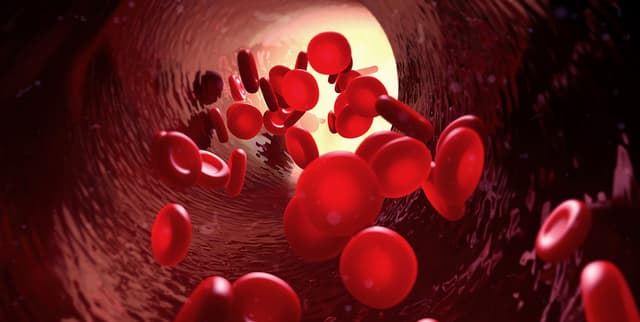 Global Blood Type Distribution by Country Dataset on Opendatabay data marketplace