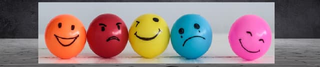 WhatsApp Status Emotion Classification Data Dataset on Opendatabay data marketplace