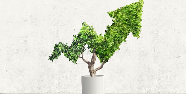 Public Company ESG Ratings Dataset on Opendatabay data marketplace