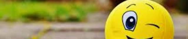 Hungarian Chickenpox Spatio-Temporal Data Dataset on Opendatabay data marketplace