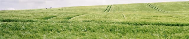 Agriculture Area Harvested and Production Data Dataset on Opendatabay data marketplace
