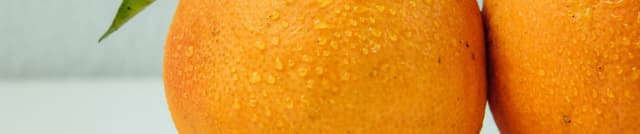 Orange vs. Grapefruit Classification Data Dataset on Opendatabay data marketplace