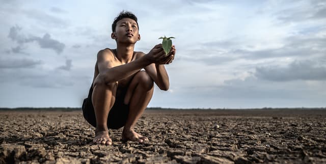 Historical Natural Disaster Frequency Data Dataset on Opendatabay data marketplace