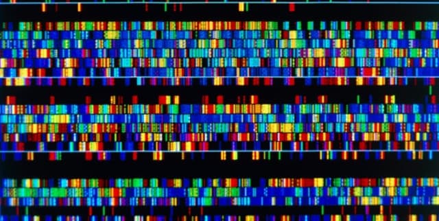 Human Genome GRCh38 Summary Data Dataset on Opendatabay data marketplace