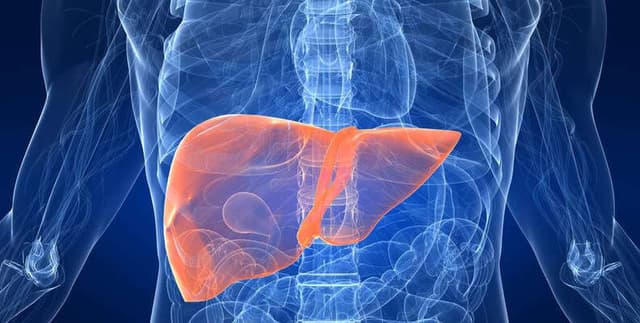 Liver Cirrhosis Patient Data Dataset on Opendatabay data marketplace