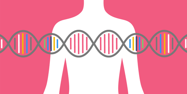 Clinical Breast Cancer Dataset Dataset on Opendatabay data marketplace