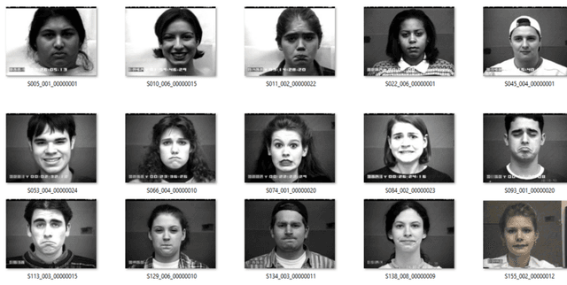 Emotion Recognition Grayscale Images Dataset on Opendatabay data marketplace
