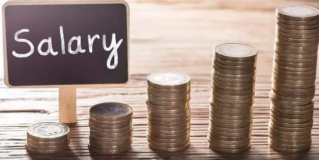 Employee Compensation Factors Data Dataset on Opendatabay data marketplace