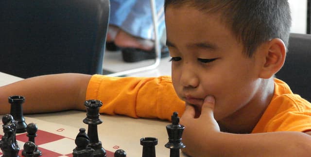 Beginner Online Chess Matches Data Dataset on Opendatabay data marketplace