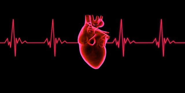 Heart Failure Biomarker Dataset Dataset on Opendatabay data marketplace