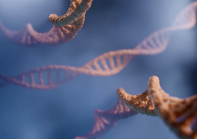 Genetic Classification Discrepancy Dataset Dataset on Opendatabay data marketplace