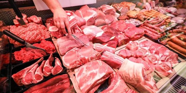 Global Animal Protein Consumption Metrics Dataset on Opendatabay data marketplace