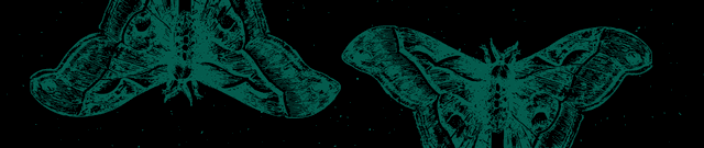 NLP Disaster Communication Dataset Dataset on Opendatabay data marketplace