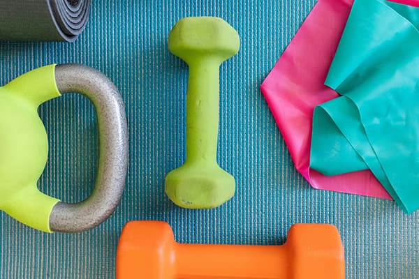 Synthetic Gym Members Exercise Records Dataset Dataset on Opendatabay data marketplace