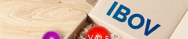 Brazilian IBOV Historical Stock Data Dataset on Opendatabay data marketplace