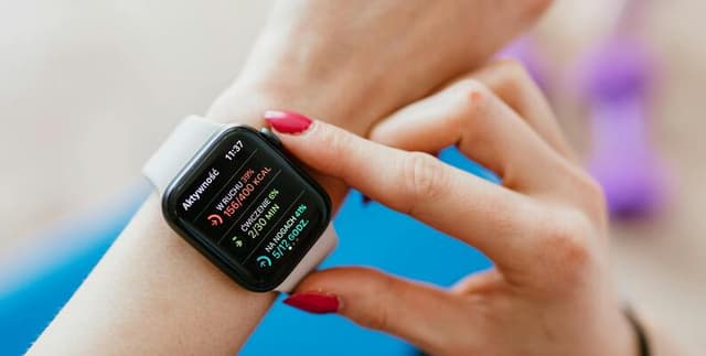 Personal Fitness Tracker Usage Insights Dataset on Opendatabay data marketplace