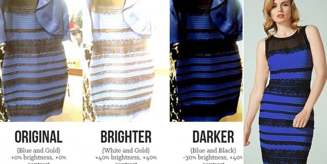 The Dress Viral Perception Survey Dataset on Opendatabay data marketplace