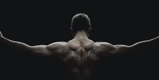 Body Part Exercise Collection Dataset on Opendatabay data marketplace