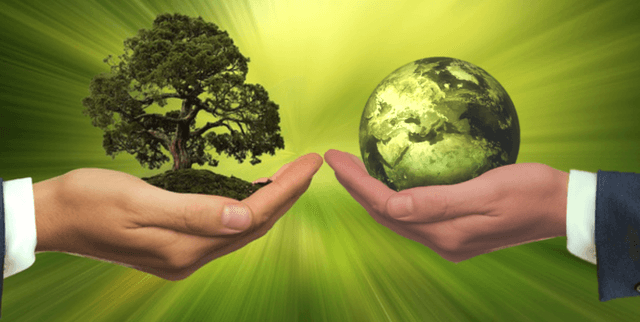 Worldwide Sustainable Business Metrics Dataset on Opendatabay data marketplace