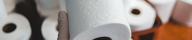 Global Political Response to COVID-19 Dataset on Opendatabay data marketplace