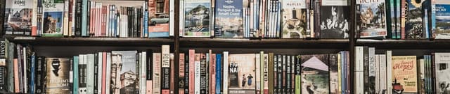 Top Programming Books Dataset Dataset on Opendatabay data marketplace