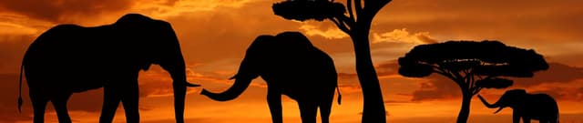 Gallup World Poll Variables for Africa Dataset on Opendatabay data marketplace