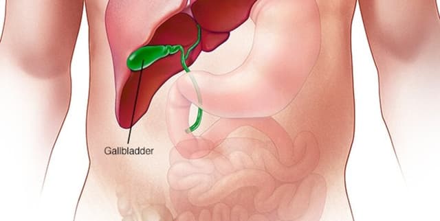 NAFLD Progression and Mortality Data Dataset on Opendatabay data marketplace