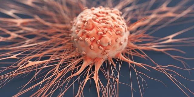 Cancer Visual Characteristics Dataset Dataset on Opendatabay data marketplace