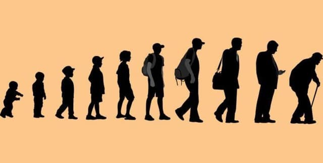 World Life Expectancy Trends Dataset on Opendatabay data marketplace