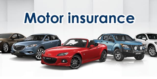 Non-Life Automotive Portfolio Claims Data Dataset on Opendatabay data marketplace