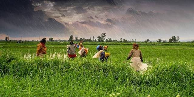 State-Level Agricultural Trends in India Dataset on Opendatabay data marketplace