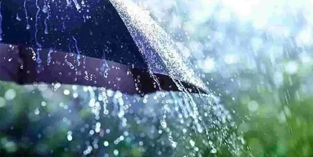 IMD Daily District Rainfall Measurements Dataset on Opendatabay data marketplace