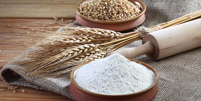 Cereal Morphology Dataset Dataset on Opendatabay data marketplace