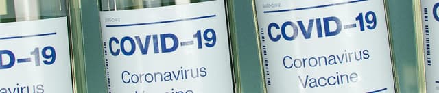 COVID-19 Global Death Toll Dataset Dataset on Opendatabay data marketplace