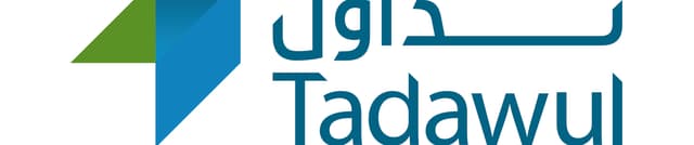Saudi Stock Exchange Historical Data Dataset on Opendatabay data marketplace