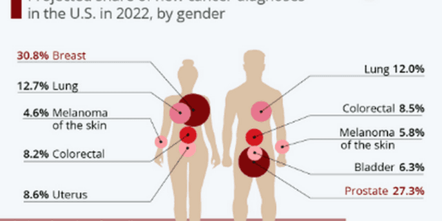 NKI Cancer Prognosis Data Dataset on Opendatabay data marketplace