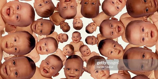 Social Security Baby Names Data Dataset on Opendatabay data marketplace