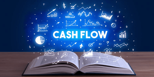 Chinese Public Company Cash Flow Metrics Dataset on Opendatabay data marketplace