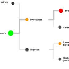 Multi-Level Mortality Causality Relations Dataset on Opendatabay data marketplace