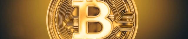 Early Bitcoin Network Statistics Dataset on Opendatabay data marketplace