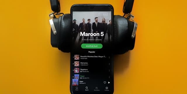 Spotify Indias Most Popular Artist Tracks Dataset on Opendatabay data marketplace