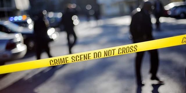 Urban Homicide Arrest Rate Analysis Dataset Dataset on Opendatabay data marketplace