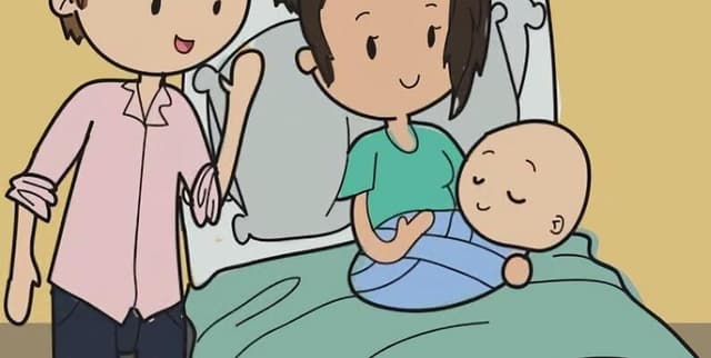 World Births Seasonal Analysis Data Dataset on Opendatabay data marketplace